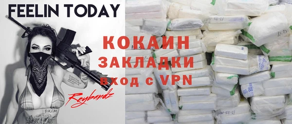 прущие грибы Абаза