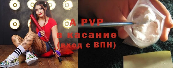 стаф Алексин