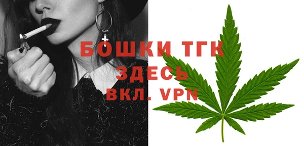 прущие грибы Абаза