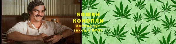 прущие грибы Абаза