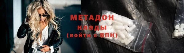 прущие грибы Абаза