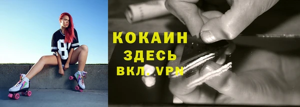 стаф Алексин
