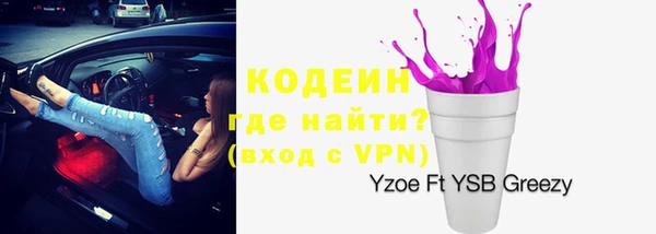 прущие грибы Абаза