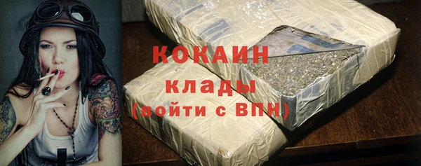 прущие грибы Абаза