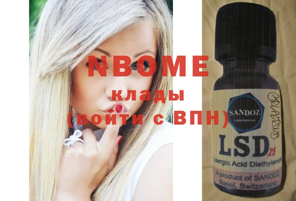 прущие грибы Абаза