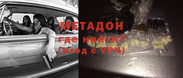 прущие грибы Абаза