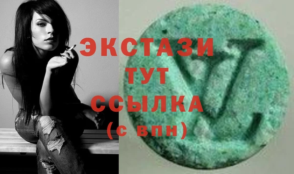 прущие грибы Абаза