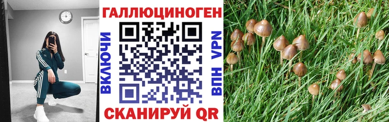 Галлюциногенные грибы мицелий  ссылка на мегу ссылки  Отрадный 